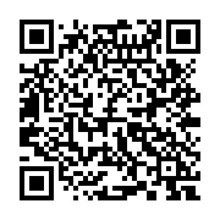 QR code for 381ZTI