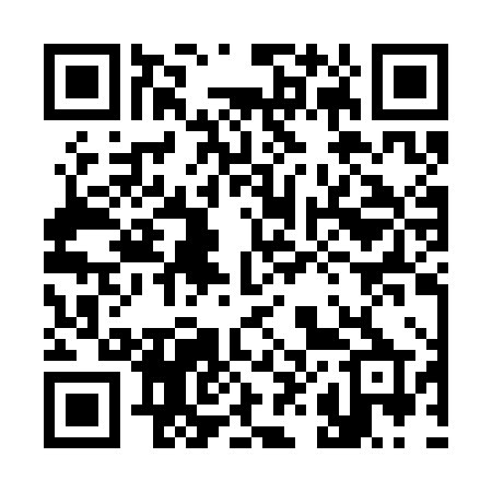 QR code for 382CHP
