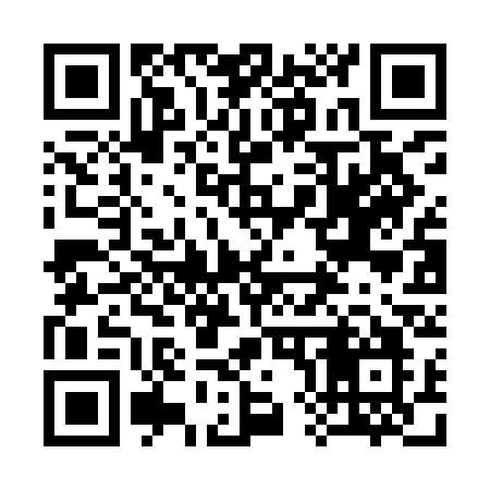 QR code for 382ICO