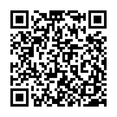 QR code for 382MFS
