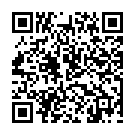 QR code for 382MPP