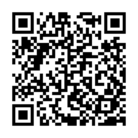 QR code for 382NYJ