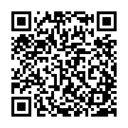 QR code for 382OLM