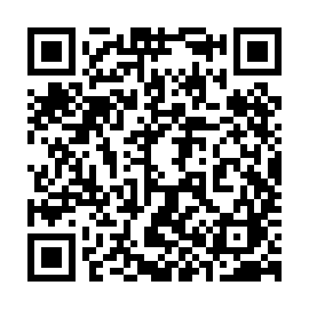 QR code for 382PIC