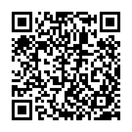 QR code for 382PIN