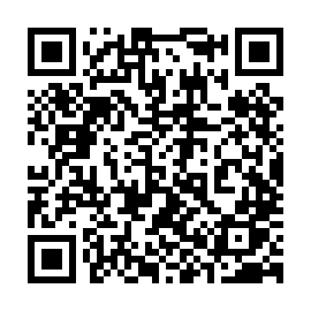 QR code for 382PLP
