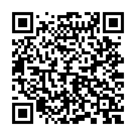 QR code for 382PVT