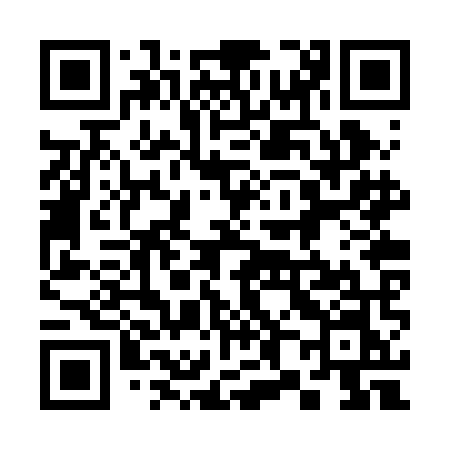 QR code for 382RMN