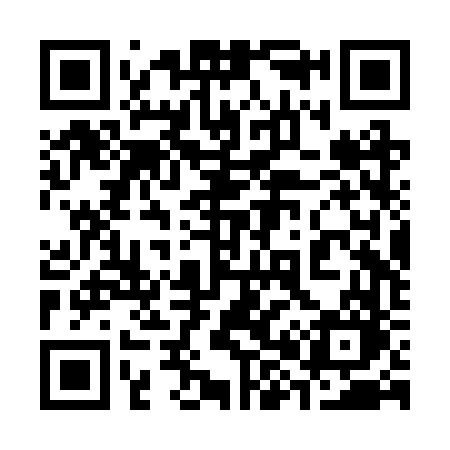 QR code for 382RVO
