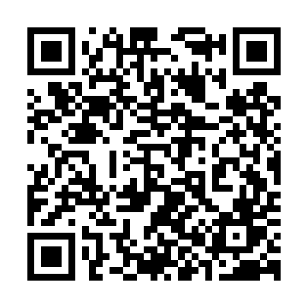 QR code for 383DUV