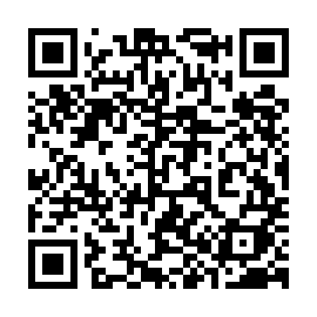 QR code for 383EMI