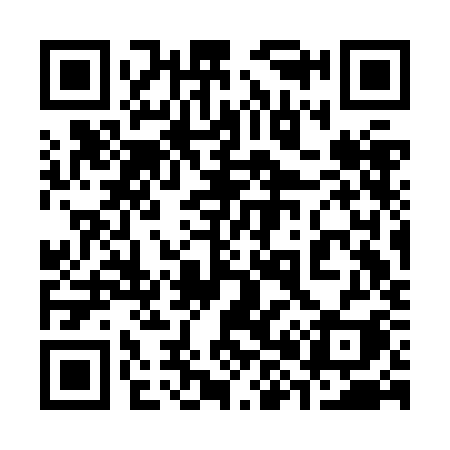 QR code for 383JKI