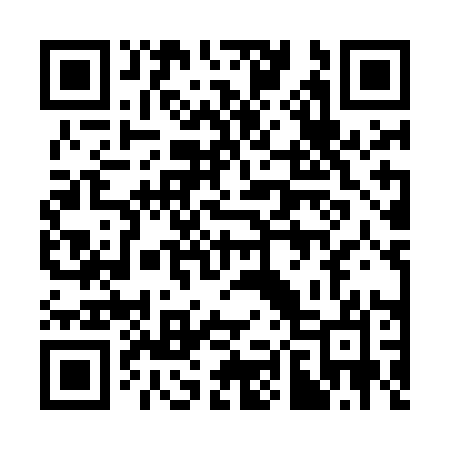 QR code for 383MAO