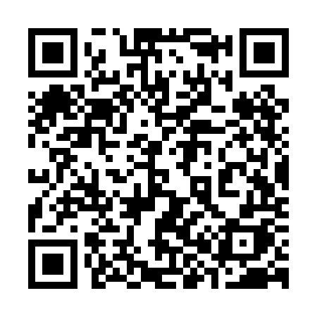 QR code for 383POH