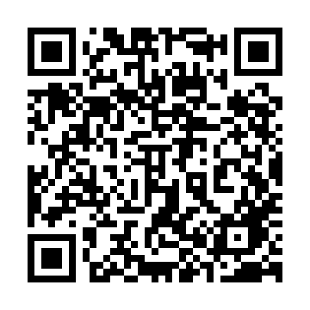 QR code for 383QHG