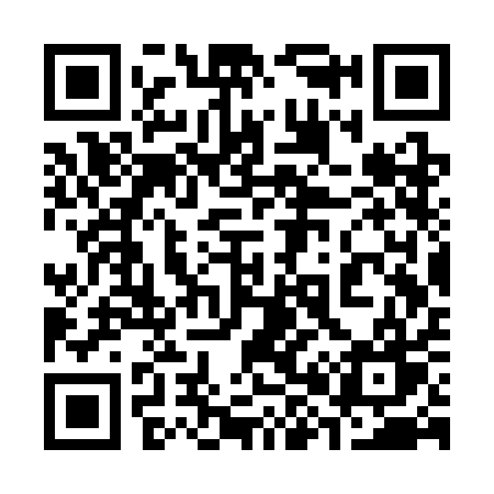 QR code for 383SAW