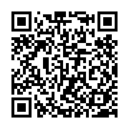 QR code for 383TAM