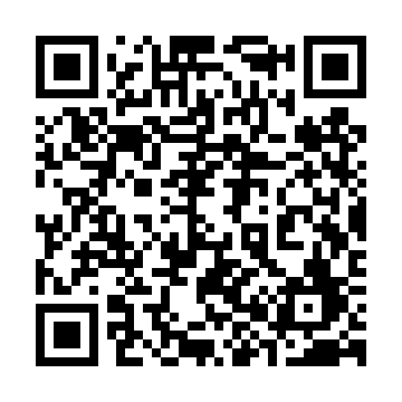 QR code for 383TSF