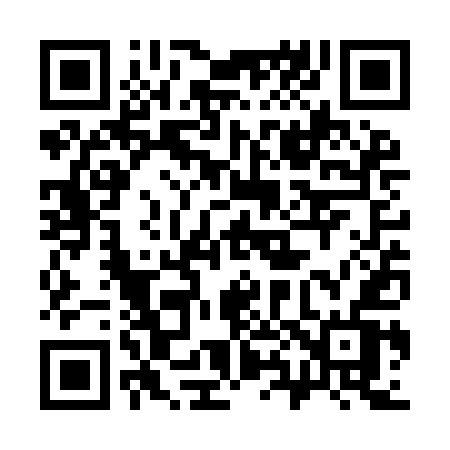 QR code for 383YEV