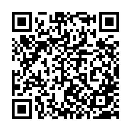 QR code for 383YLW