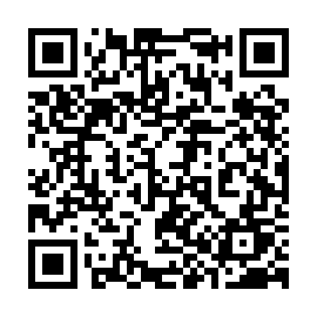 QR code for 384AGT
