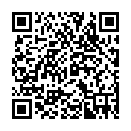 QR code for 384COW