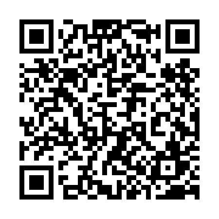 QR code for 384DAV