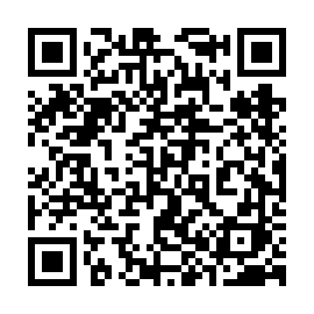QR code for 384FFH