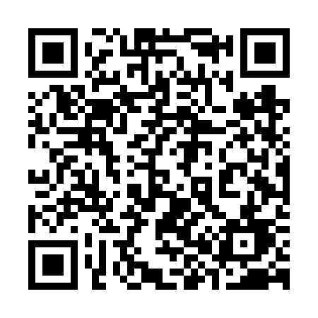 QR code for 384FSD