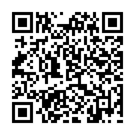 QR code for 384MPN