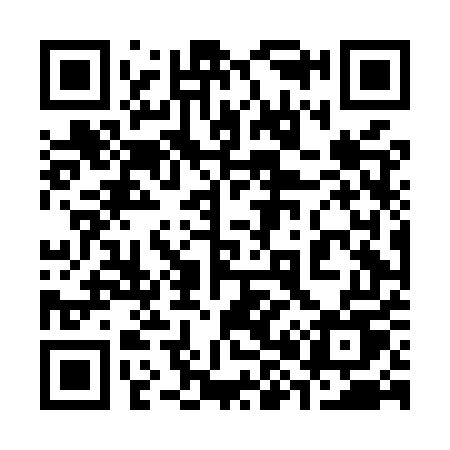 QR code for 384MUU