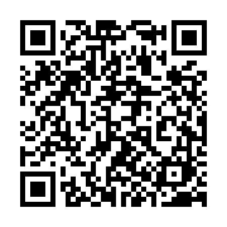 QR code for 384MVM