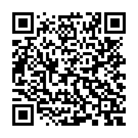 QR code for 384NPS