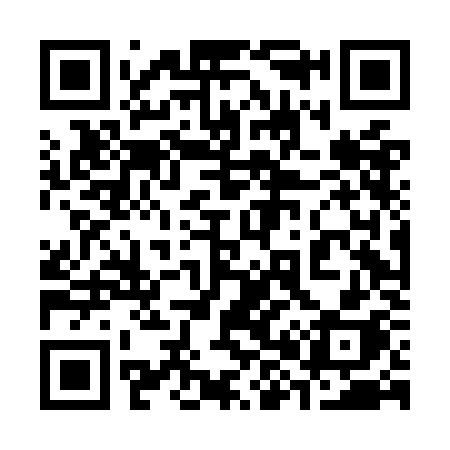 QR code for 384OKH