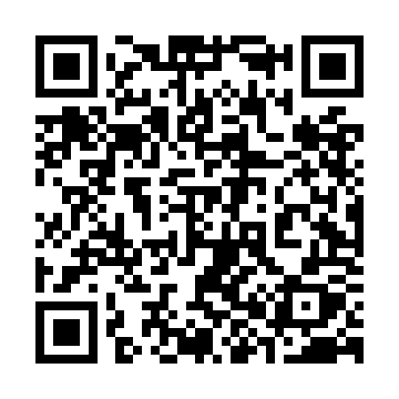 QR code for 384OOX