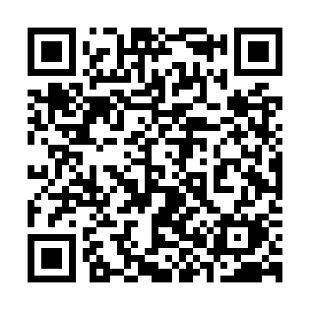 QR code for 384OSM