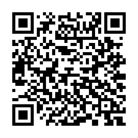 QR code for 384PFB