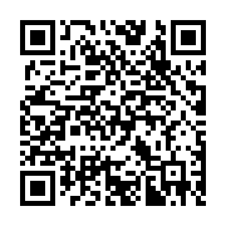QR code for 384PPF