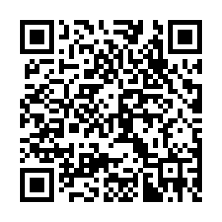 QR code for 384PPP