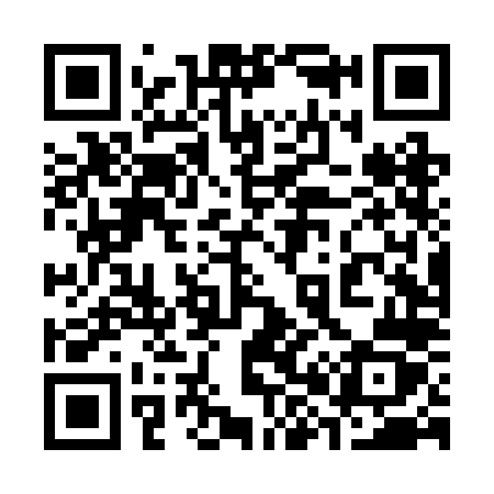 QR code for 384RLZ