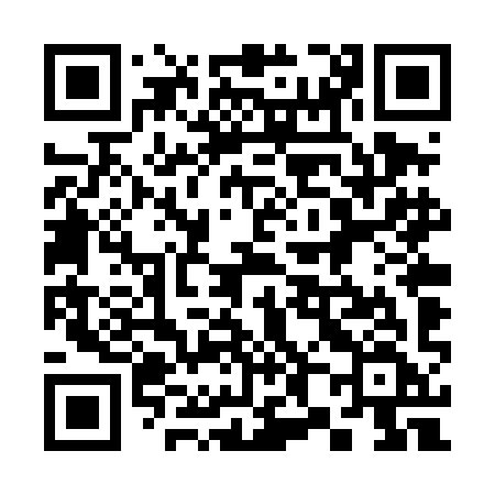 QR code for 384TIF
