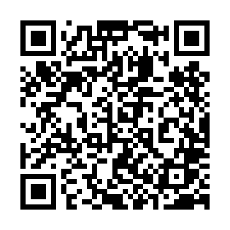 QR code for 384TLS