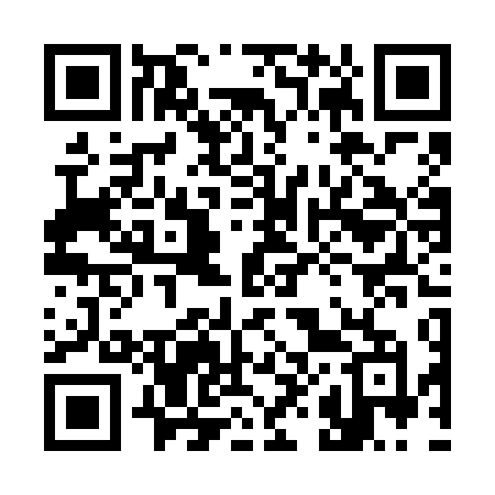 QR code for 384VDM