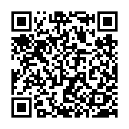 QR code for 384VPX