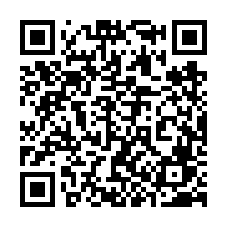 QR code for 384VVV