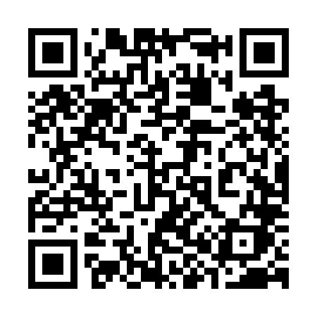 QR code for 384WLK