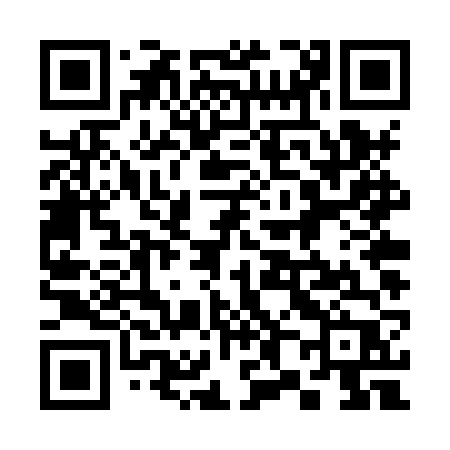QR code for 384XVP