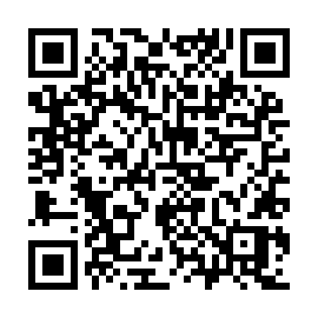 QR code for 384YLR