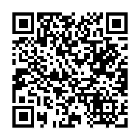 QR code for 385DLF