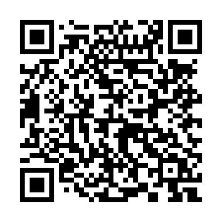 QR code for 385LPT